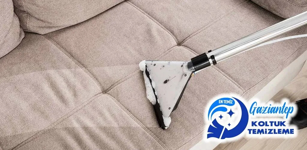 Kanepe temizleme