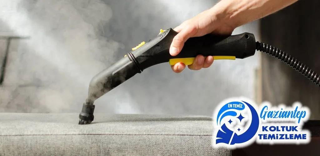 Karcher buharlı temizleyici koltuk temizleme